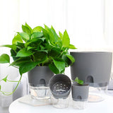 Optimized Product Title: **Selbstbewässernder Blumentopf – Automatisches Bewässerungssystem für gesunde Pflanzen, nie wieder vertrocknet!** 

This title includes keywords that enhance search visibility while clearly conveying the product's benefits.