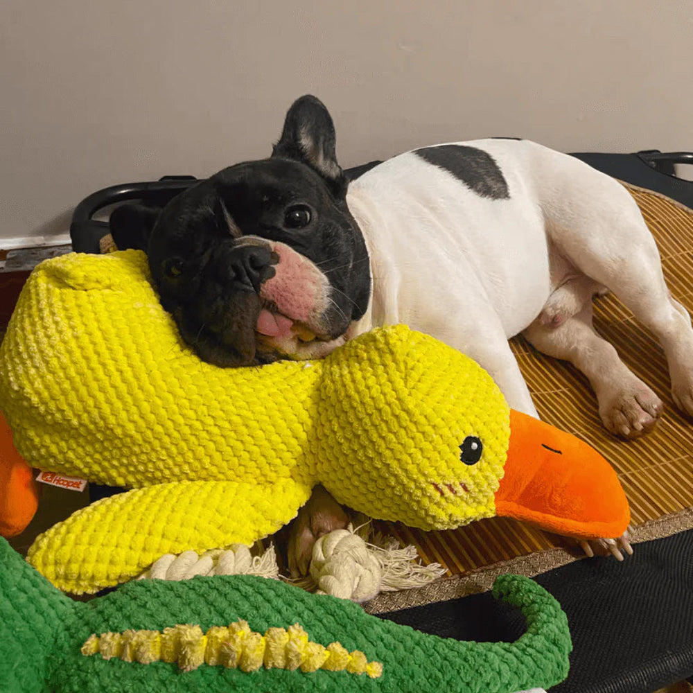 Squeaky Duck Dog Toy – Plush 38×45cm, Durable Handmade & Non-Toxic