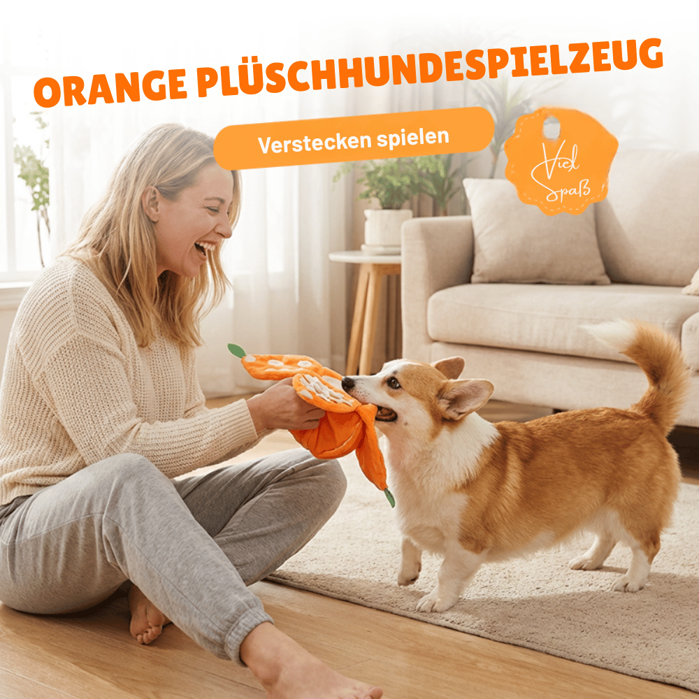 Optimized Product Title: Interaktives Plüsch-Hundespielzeug mit Quietscher – Versteck-Puzzle für Leckerchen | Fördert Spielspaß & geistige Stimulation für Hunde

This enhanced title includes keywords that may improve search visibility while clearly descri