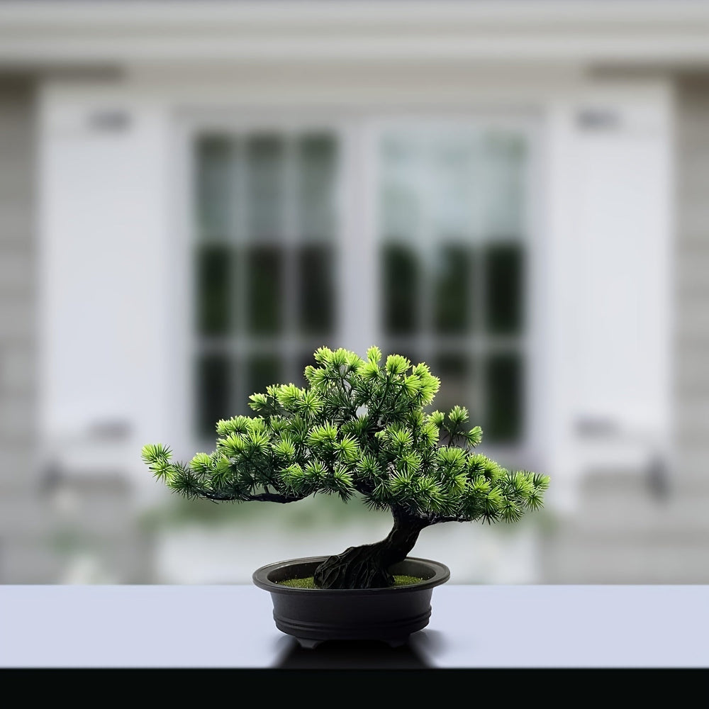 "Immergrüner Bonsai – Pflegeleichter, Immergrüner Miniaturbaum für Innen- und Außenbereich" 

This enhanced title includes keywords that potential customers might search for, such as "pflegeleicht" (easy care), "miniaturbaum" (miniature tree), and specifi