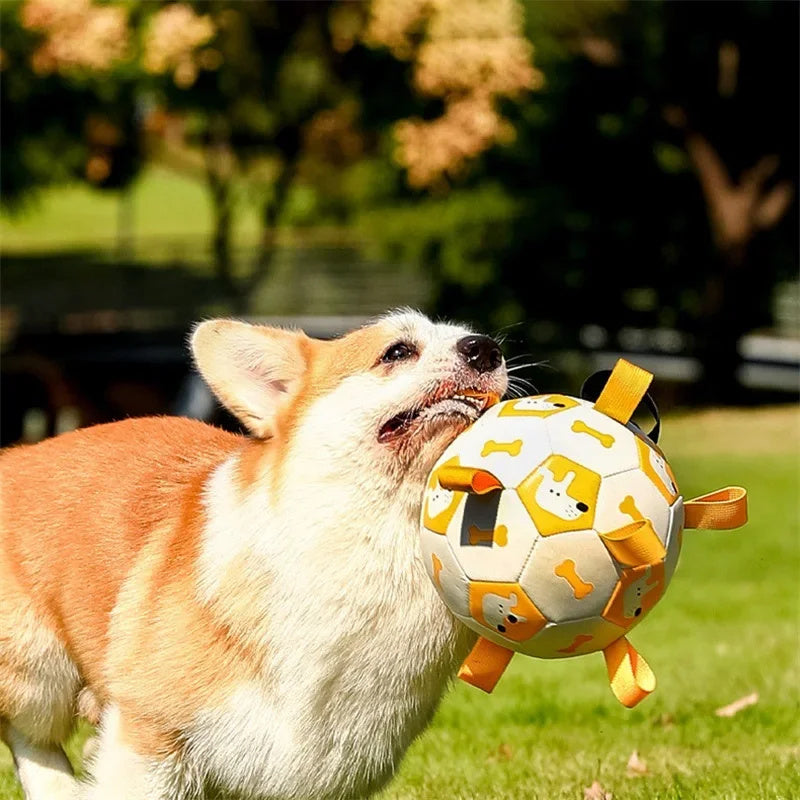 Inflatable Dog Football Toy – PU, Waterproof, 15 & 19cm with Grab Straps