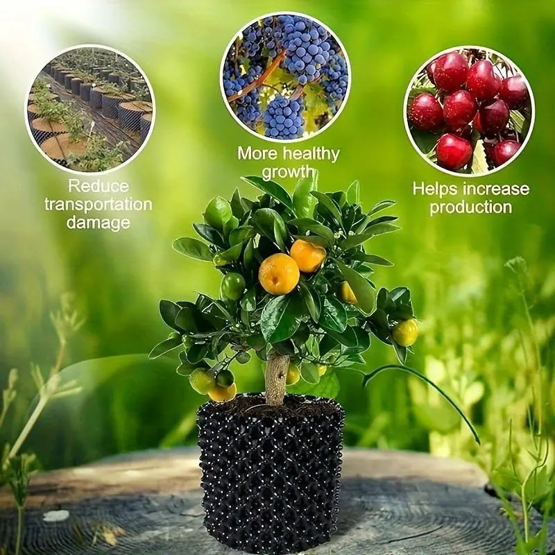 Root Guide System – Weatherproof Black Plastic, 20×20cm & Tool-Free Install