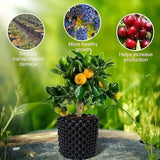 Root Guide System – Weatherproof Black Plastic, 20×20cm & Tool-Free Install