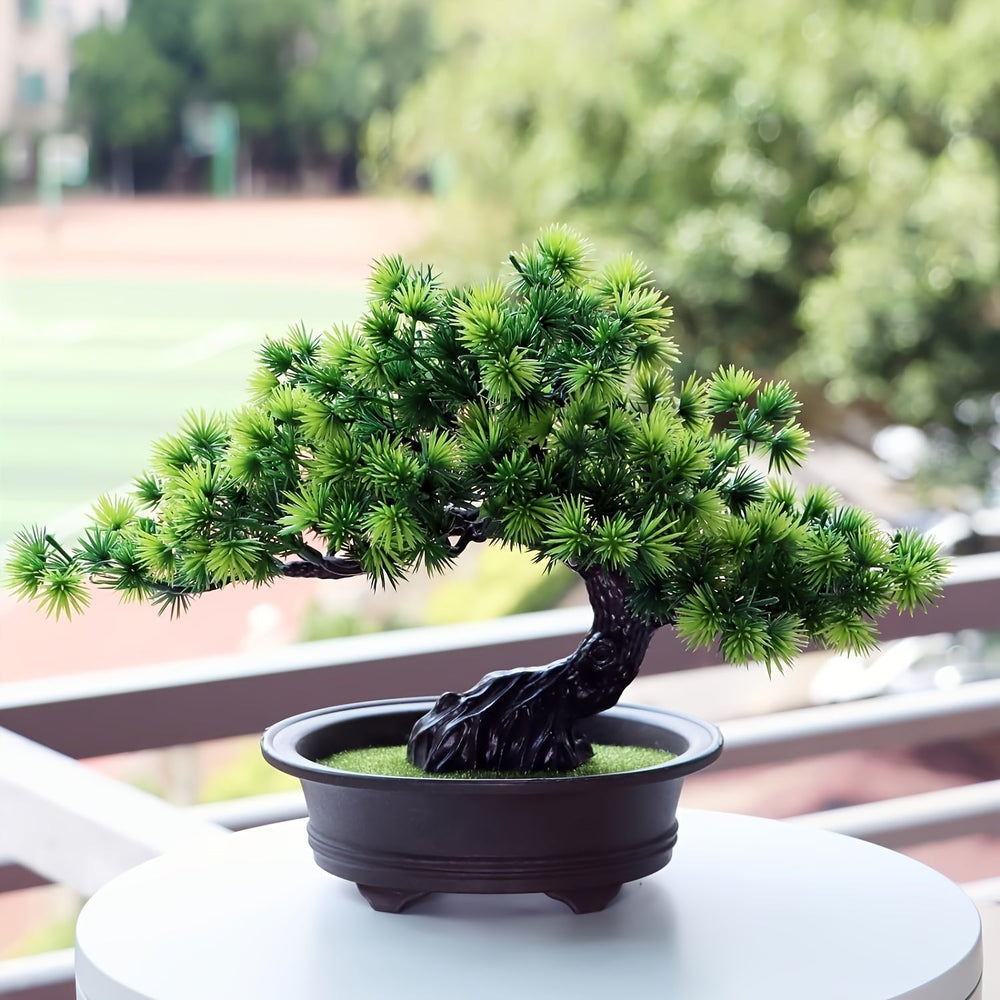 "Immergrüner Bonsai – Pflegeleichter, Immergrüner Miniaturbaum für Innen- und Außenbereich" 

This enhanced title includes keywords that potential customers might search for, such as "pflegeleicht" (easy care), "miniaturbaum" (miniature tree), and specifi