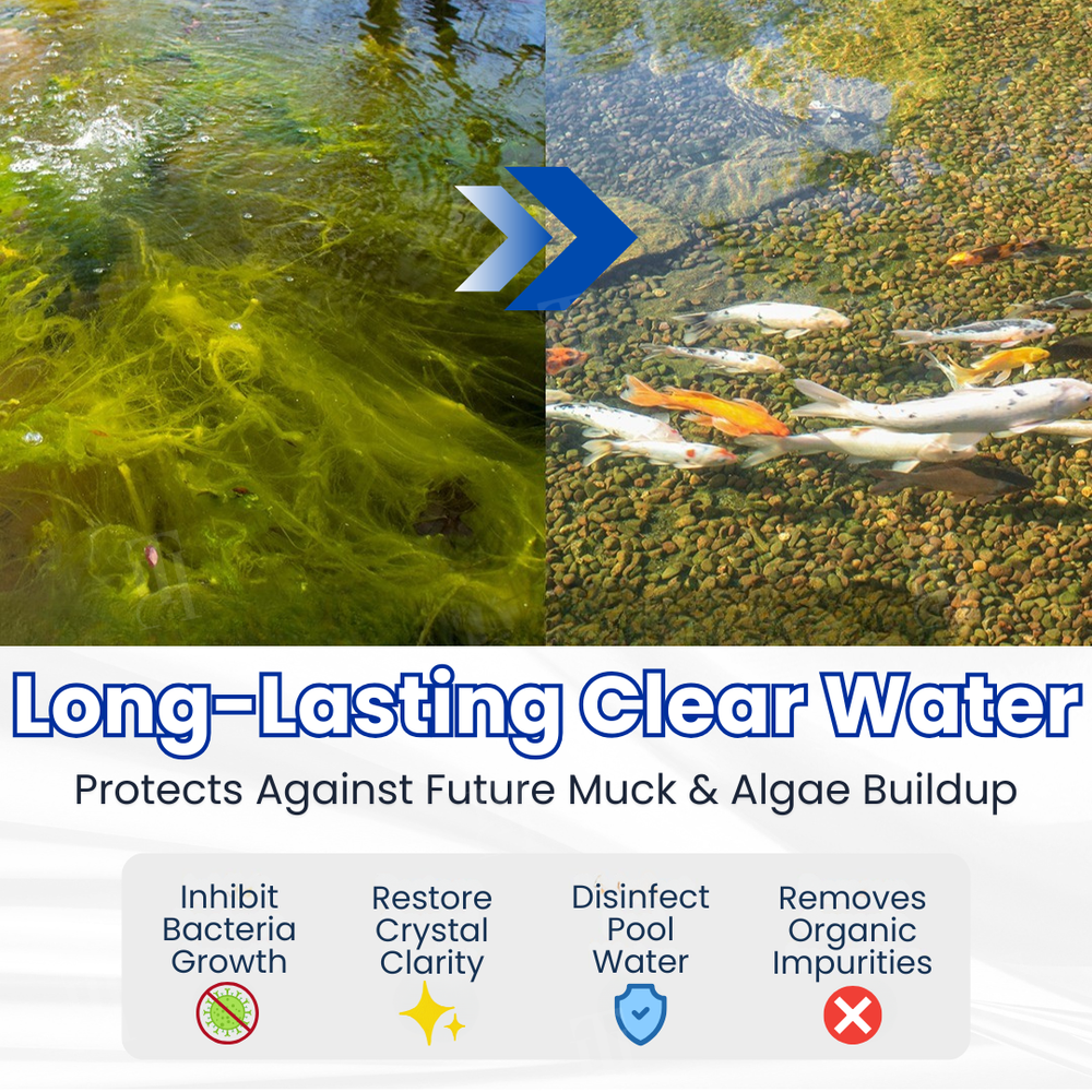 Biological Pond Clarifier – Dual Bacteria Formula, Fish-Safe & Multiple Pack Sizes