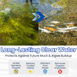 Biological Pond Clarifier – Dual Bacteria Formula, Fish-Safe & Multiple Pack Sizes
