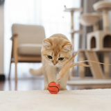 Enhanced Product Title: "FeatherBounce Katzenspielzeug - 3er-Set | Interaktives Spielzeug für Katzen mit Federn | Fördert Spiel und Bewegung" 

This title includes keywords that can help improve visibility in Google Shopping while clearly describing the p