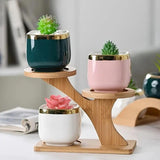 Optimized Product Title: "3-Stufiger Bambus Pflanzenständer – Baumförmiges Pflanzenregal für Zimmerpflanzen & Dekoration" 

This enhanced title includes relevant keywords for better visibility on Google Shopping while maintaining clarity and appeal.
