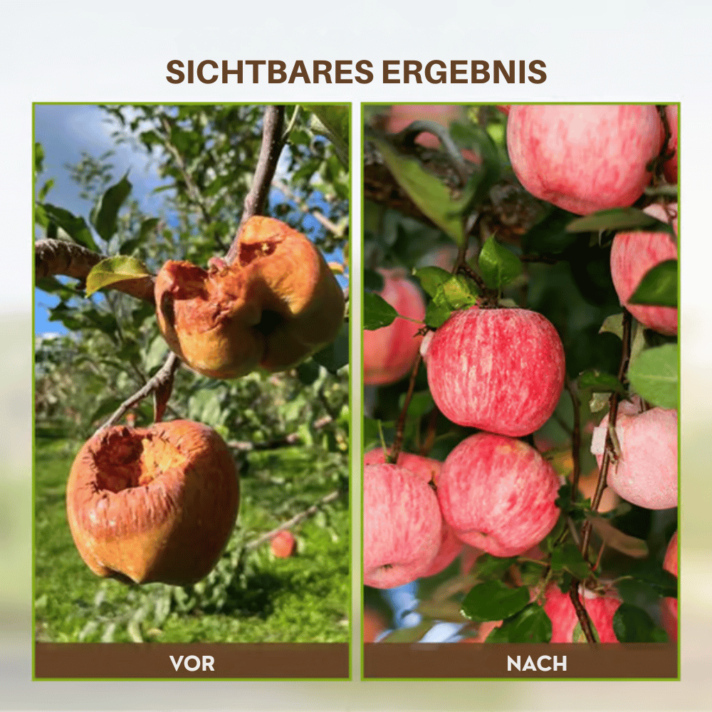 Optimized Product Title: "Bodenaktivator-Pulver – Kalium-Mineral-Komplex für alle Bodenarten | Optimale Bodenverbesserung & Nährstoffversorgung" 

This title includes relevant keywords while highlighting the product's benefits, making it more appealing fo