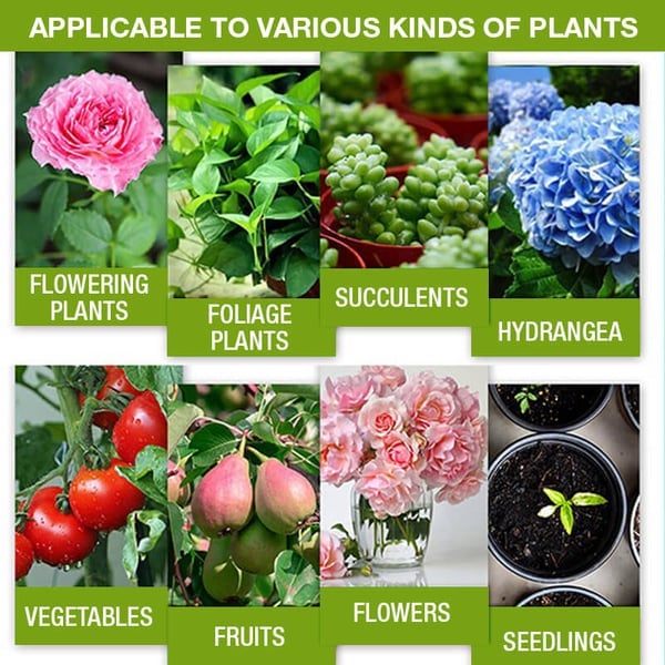 Amino Acid Plant Fertilizer – 30ml Concentrate, Growth Booster for Balcony Plants
