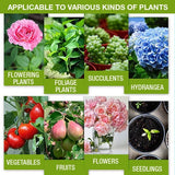 Amino Acid Plant Fertilizer – 30ml Concentrate, Growth Booster for Balcony Plants