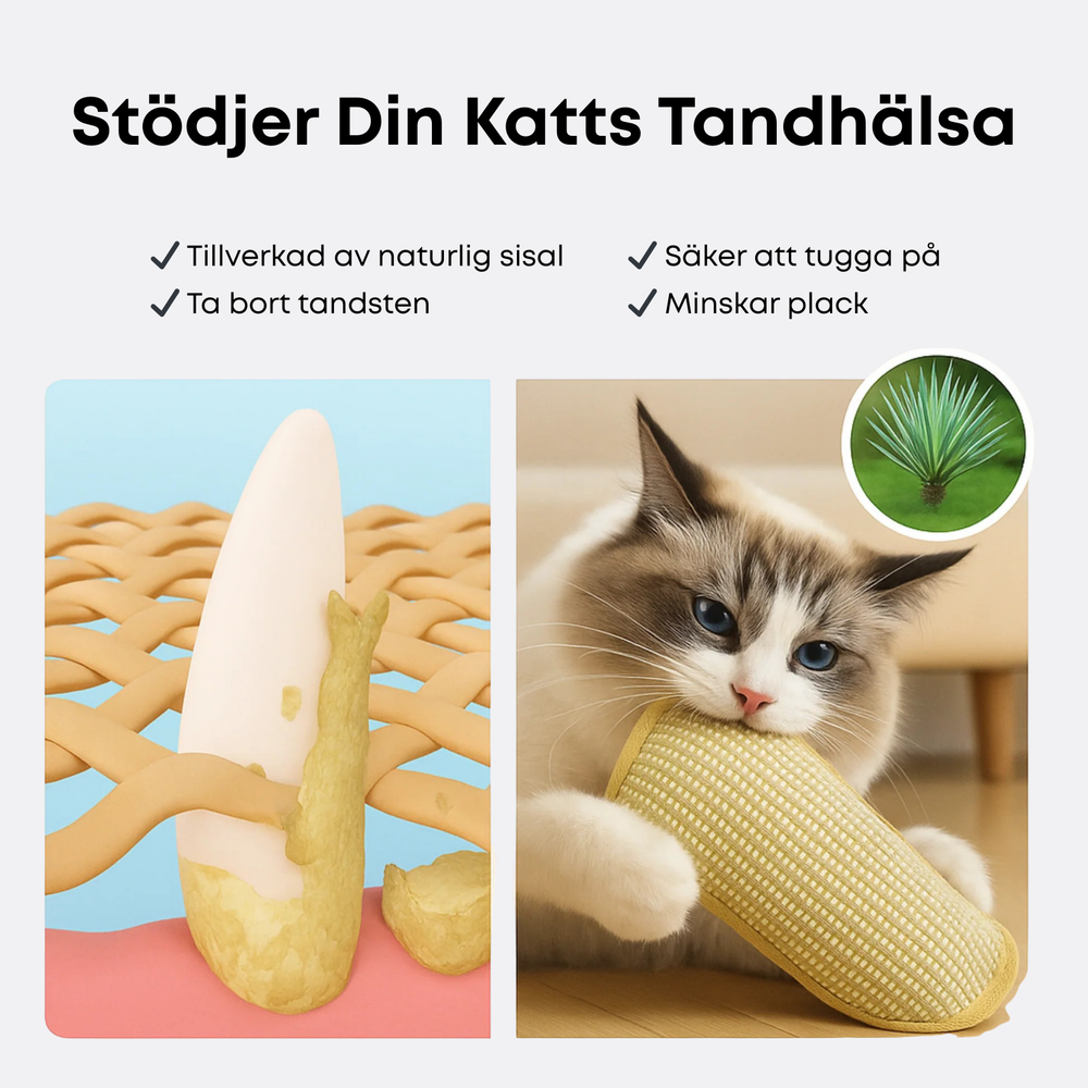 Sisal Catnip Cat Toy – Natural Fiber, Teeth Cleaning & Bite-Resistant