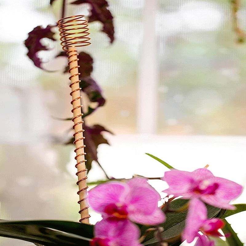 Copper Plant Stakes – 5-Pack, Pure Copper 30cm & Natural Growth Booster