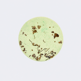 Mothers Day Steamers Aromatherapy Shower Tablets Relaxing Spa