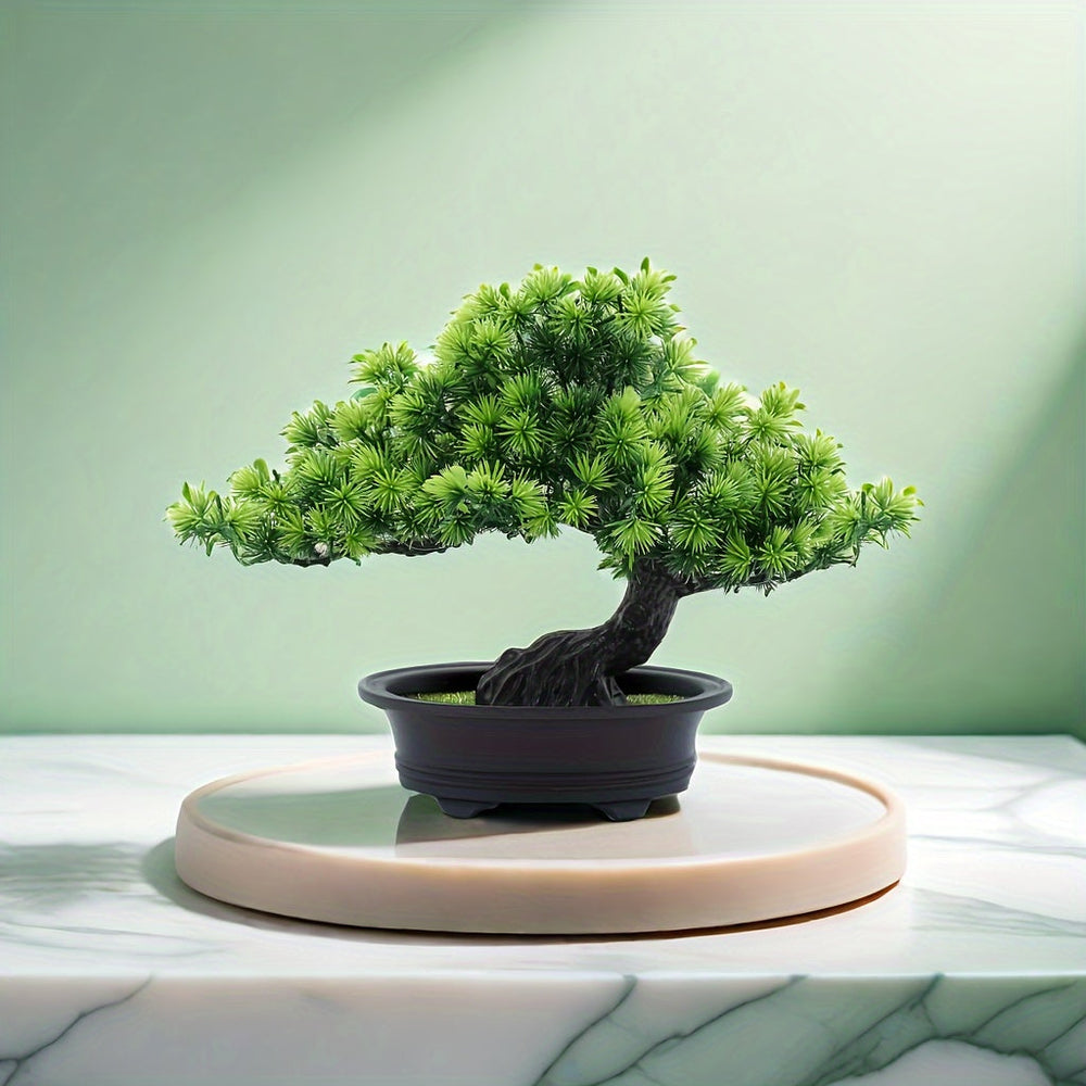 "Immergrüner Bonsai – Pflegeleichter, Immergrüner Miniaturbaum für Innen- und Außenbereich" 

This enhanced title includes keywords that potential customers might search for, such as "pflegeleicht" (easy care), "miniaturbaum" (miniature tree), and specifi