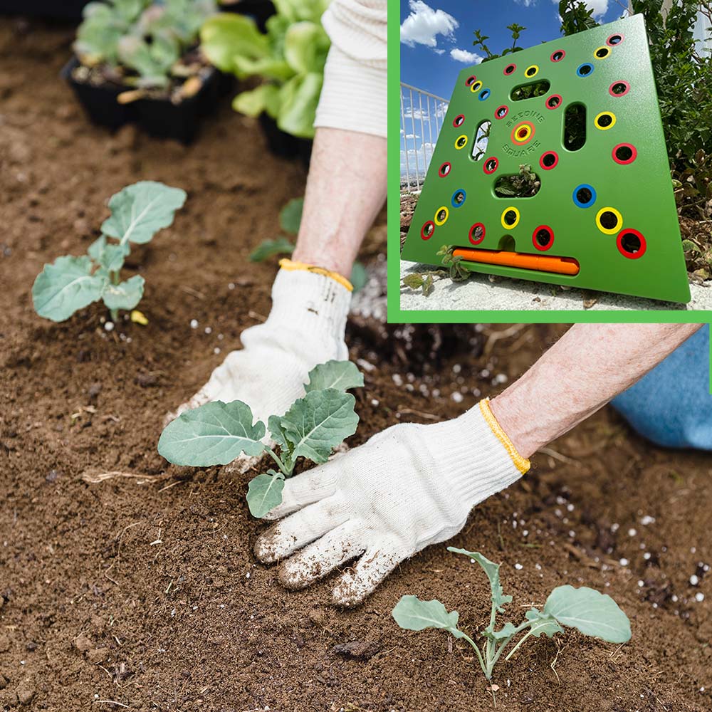 Garden Seed Spacing Template – Color-Coded, 30×30cm ABS & Planting Depth Guides