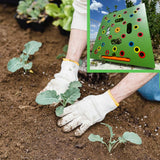 Garden Seed Spacing Template – Color-Coded, 30×30cm ABS & Planting Depth Guides