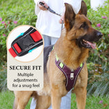 No-Pull Dog Harness Set – LED Collar, Padded Fit & Matching Leash