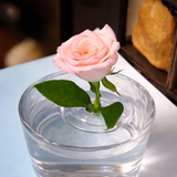 Floating Flower Stem Holders – Transparent Plastic, Small & Large Sizes, 30-Pack
