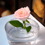 Optimized Product Title: **Schwimmender Blumenhalter – 10 Stück, Stabilisiert Blumenstiele Mühelos Aufrecht für Teich & Garten** 

This title includes relevant keywords and phrases that can improve visibility in Google Shopping searches while clearly conv