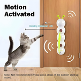 Optimized Product Title: "Interaktives Katzen-Wandspielzeug mit Bewegungsmechanismus – Fördert Spieltrieb und Aktivität für Katzen" 

This title includes relevant keywords while providing more detail about the product's benefits, which can help improve vi