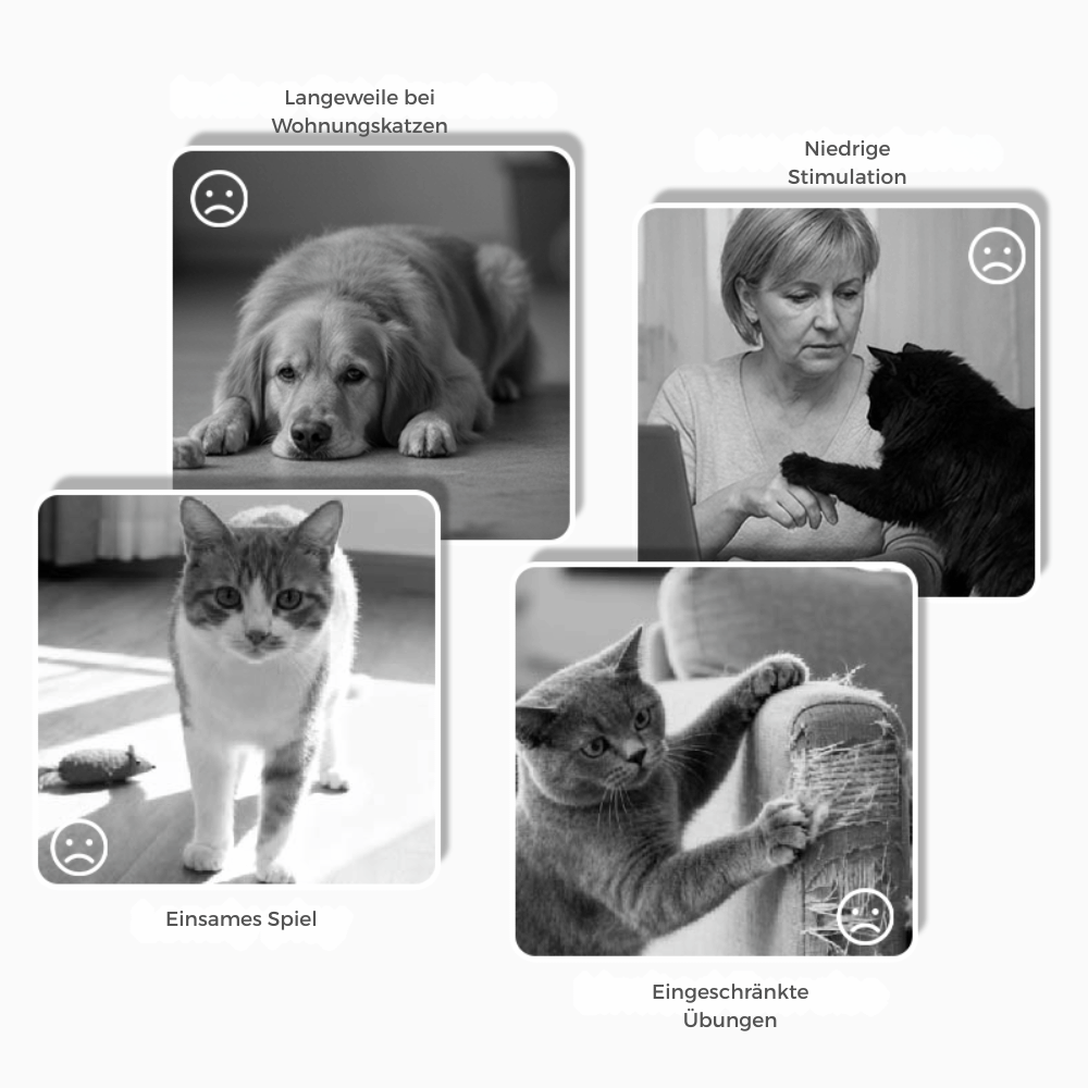 Optimized Product Title: Interaktives Plüsch-Hundespielzeug mit Quietscher – Versteck-Puzzle für Leckerchen | Fördert Spielspaß & geistige Stimulation für Hunde

This enhanced title includes keywords that may improve search visibility while clearly descri