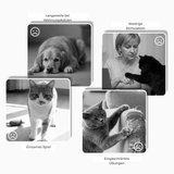 Optimized Product Title: Interaktives Plüsch-Hundespielzeug mit Quietscher – Versteck-Puzzle für Leckerchen | Fördert Spielspaß & geistige Stimulation für Hunde

This enhanced title includes keywords that may improve search visibility while clearly descri