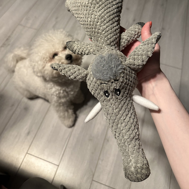 Maximus – Extra-Strong Dog Toy