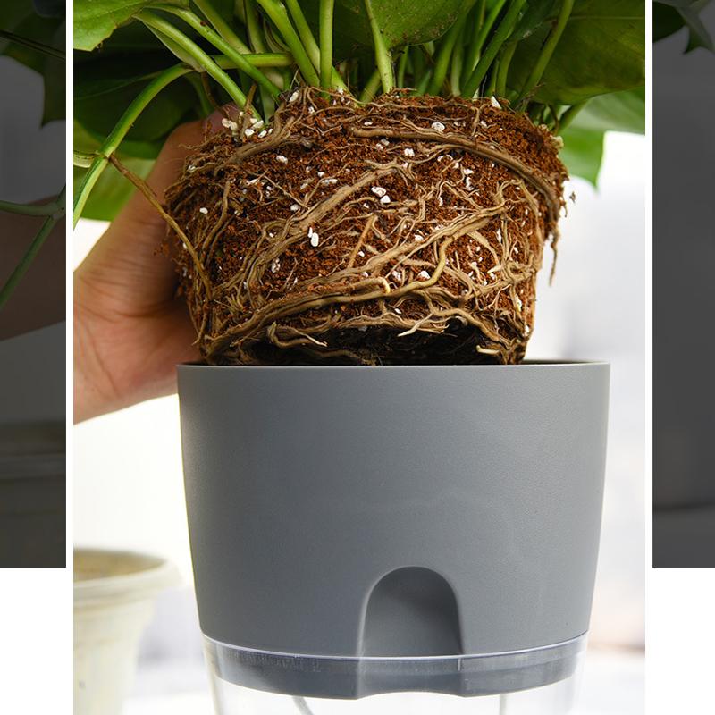 Optimized Product Title: **Selbstbewässernder Blumentopf – Automatisches Bewässerungssystem für gesunde Pflanzen, nie wieder vertrocknet!** 

This title includes keywords that enhance search visibility while clearly conveying the product's benefits.