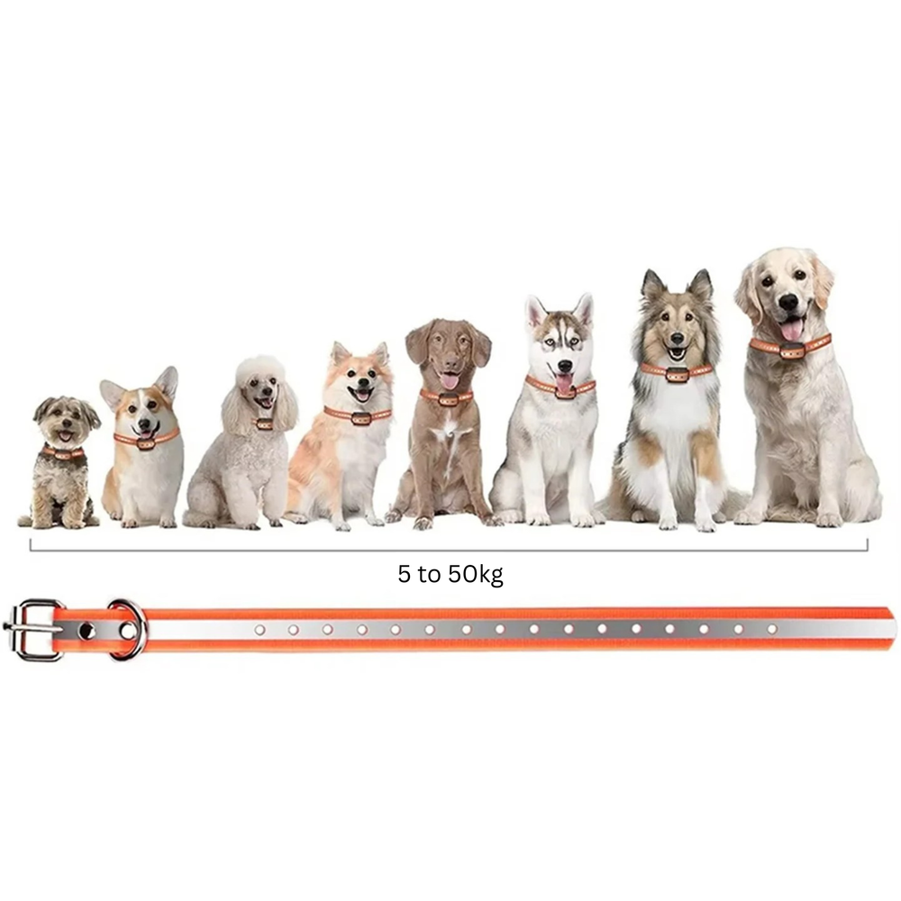 Optimized Product Title: "Fernbedienbares Hundehalsband bis 1000m - Ideal für entspannte Spaziergänge mit Ihrem Hund" 

This title includes relevant keywords while maintaining clarity and appeal for potential buyers.