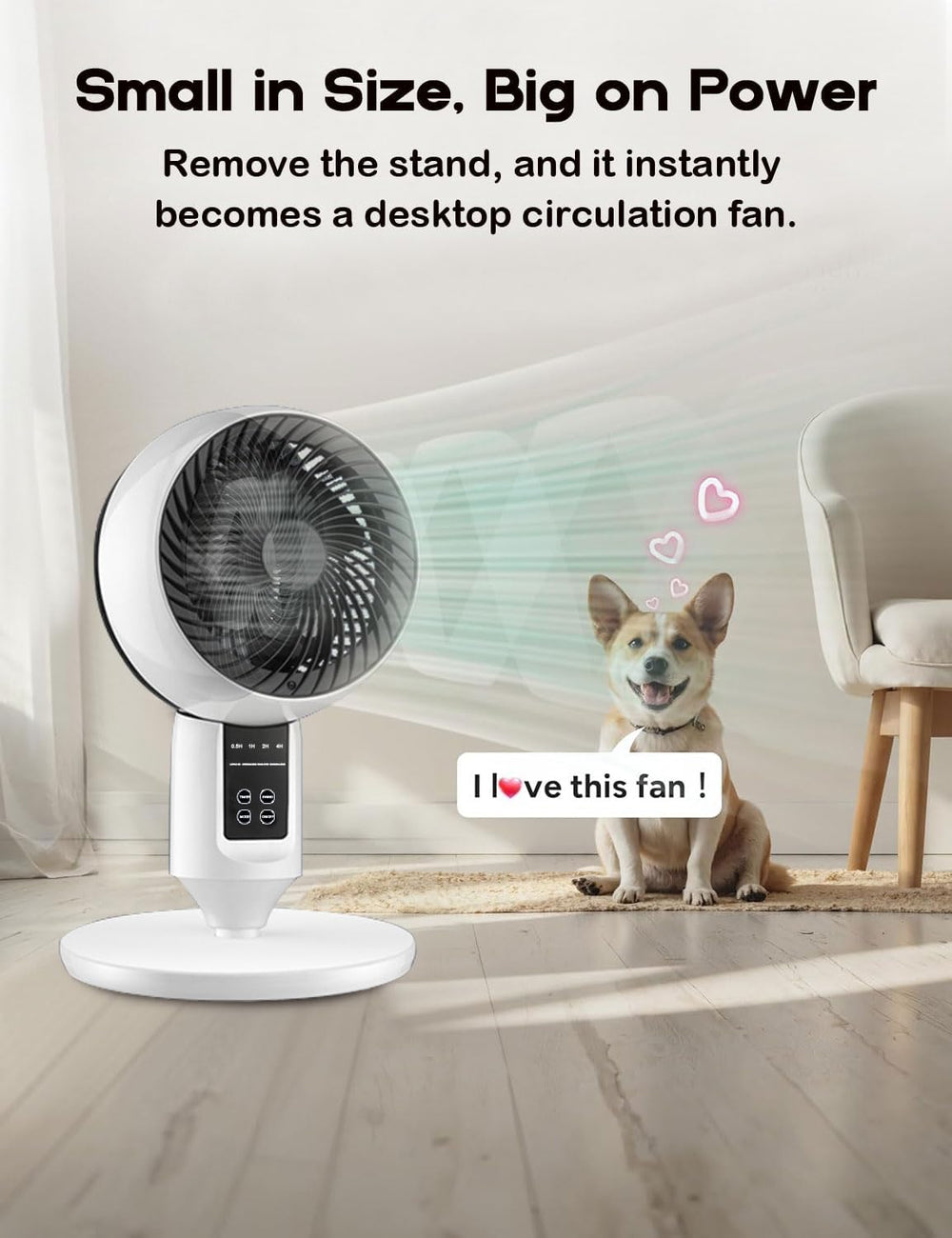 Aerion Adjustable Pedestal Fan with 3D Oscillation