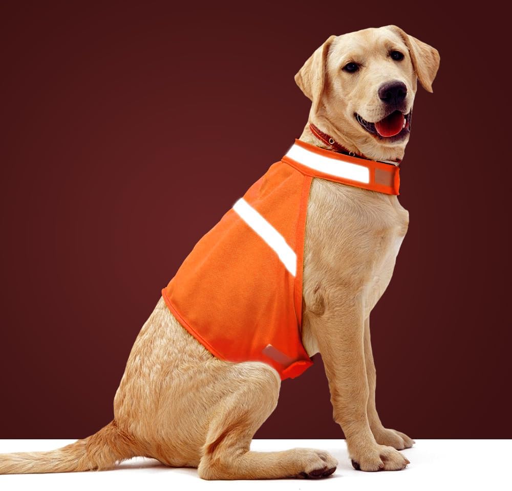 Reflektierende Sicherheitsweste für Hunde – Hohe Sichtbarkeit & Sicherheit bei Abendspaziergängen – Ideal für alle Hunderassen