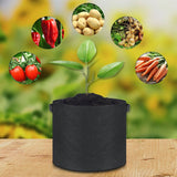 Felt Grow Bags – Breathable Fabric, Drainage & 4-26L with Handles