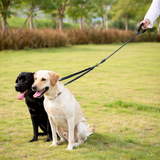 Double Dog Leash – 360° Swivel, Shock-Absorbing Bungee & Durable Nylon for Two Dogs