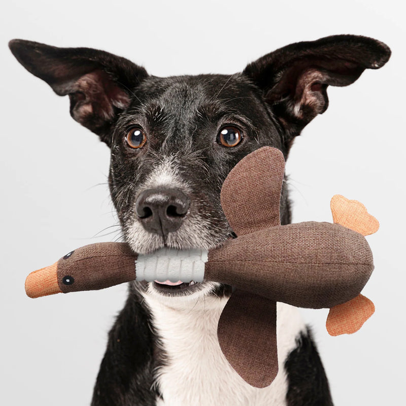 Durable Squeaky Duck Dog Toy – Chew-Resistant, Dental Cleaning & All Breeds