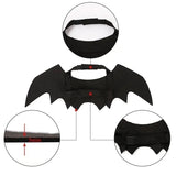 Bat Wing Halloween Costume for Pets