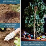 Copper Plant Stakes – 5-Pack, Pure Copper 30cm & Natural Growth Booster