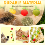 Catnip Cat Toy String – Plush Fruits, Jingle Bells & 48cm Interactive Wand