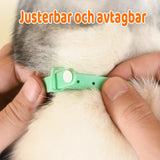 Cat Laser Collar – Motion-Activated, USB Rechargeable & 41° Adjustable Angle