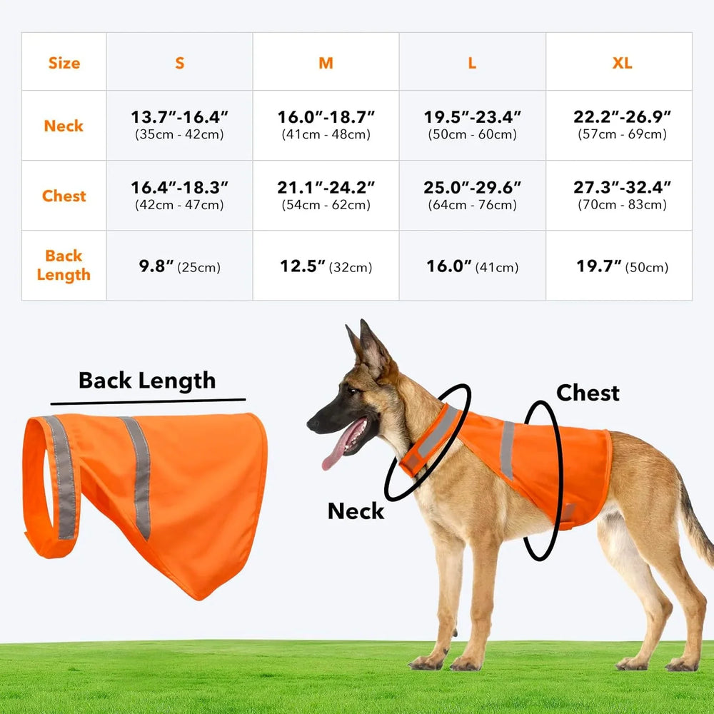 Reflektierende Sicherheitsweste für Hunde – Hohe Sichtbarkeit & Sicherheit bei Abendspaziergängen – Ideal für alle Hunderassen