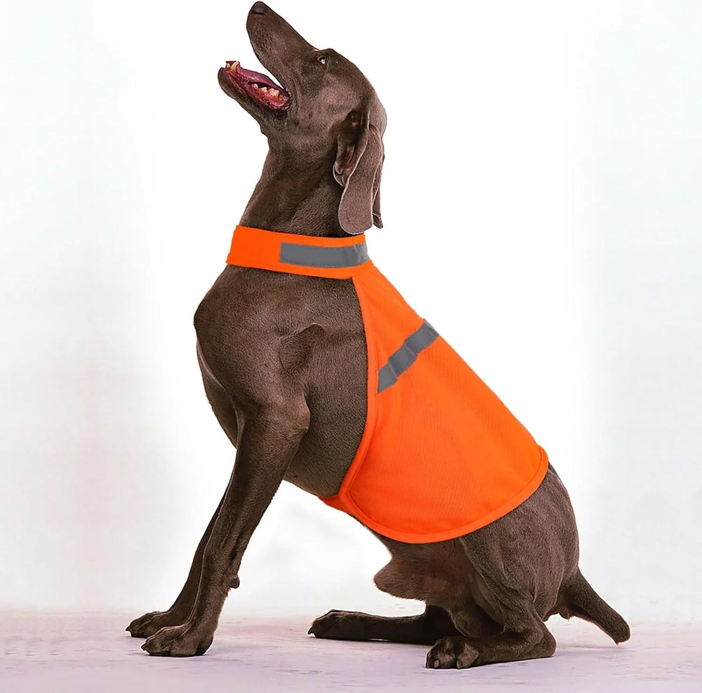 Reflektierende Sicherheitsweste für Hunde – Hohe Sichtbarkeit & Sicherheit bei Abendspaziergängen – Ideal für alle Hunderassen