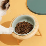 Kalsten | Misha Ceramic Elevated Cat Bowl with Wooden Stand