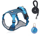 No-Pull Dog Harness Set – LED Collar, Padded Fit & Matching Leash