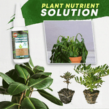 Amino Acid Plant Fertilizer – 30ml Concentrate, Growth Booster for Balcony Plants