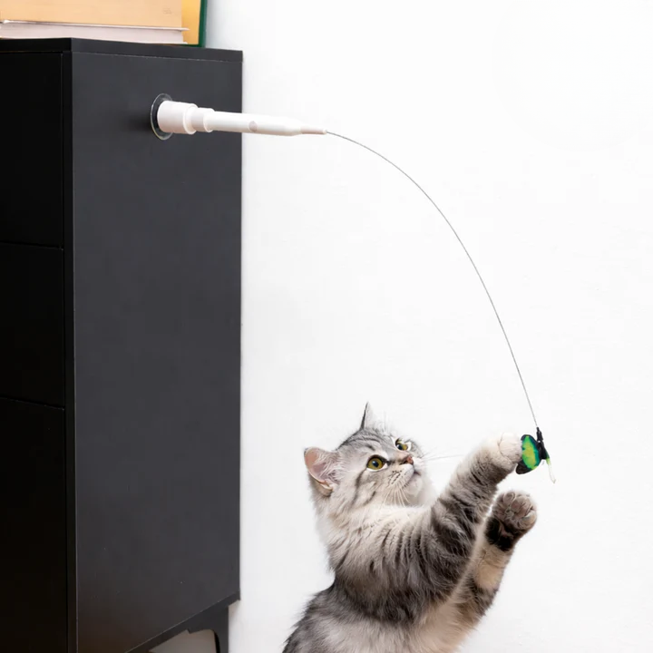 Optimized Product Title: "Interaktives Schmetterlings-Katzenspielzeug – Fördert Aktivität & Beschäftigung für Katzen" 

This title includes relevant keywords while clearly conveying the product's purpose and benefits, making it more appealing for Google S