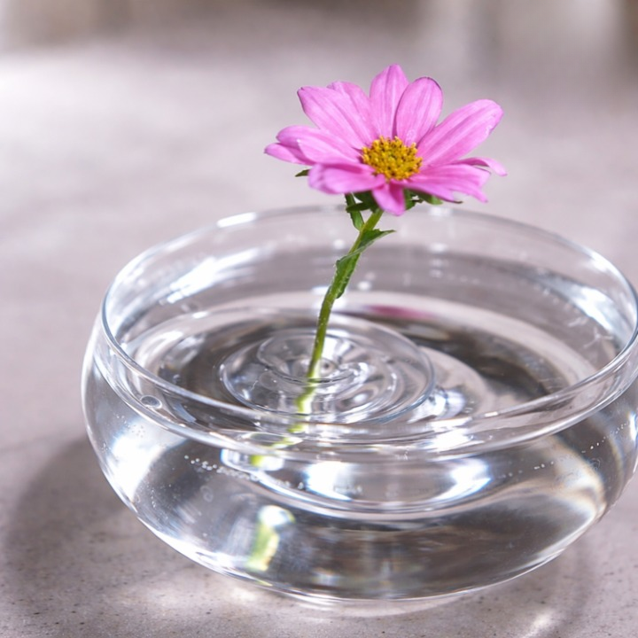 Optimized Product Title: **Schwimmender Blumenhalter – 10 Stück, Stabilisiert Blumenstiele Mühelos Aufrecht für Teich & Garten** 

This title includes relevant keywords and phrases that can improve visibility in Google Shopping searches while clearly conv