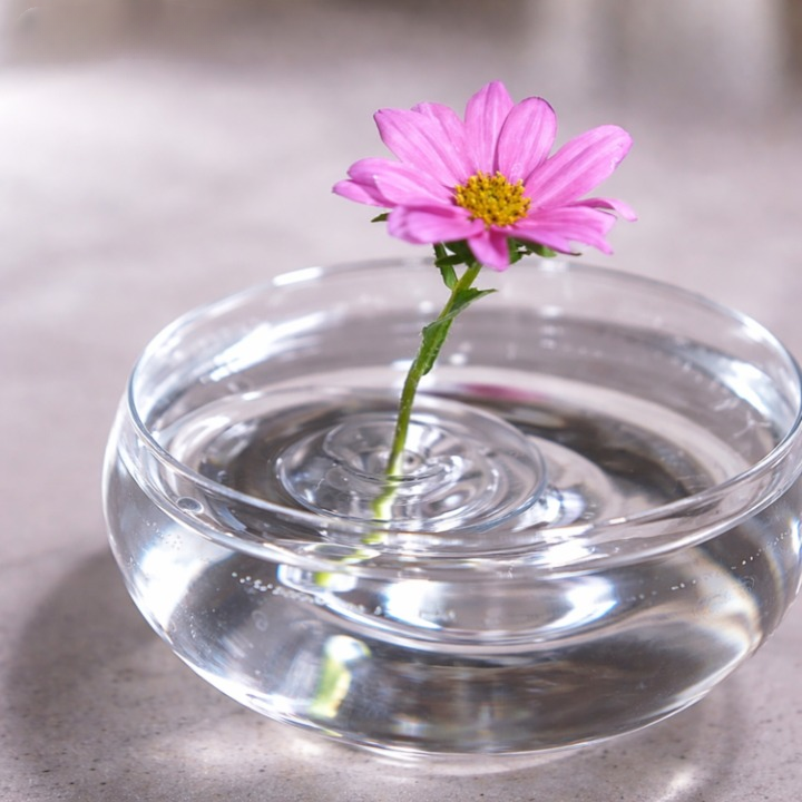 Floating Flower Stem Holders – Transparent Plastic, Small & Large Sizes, 30-Pack