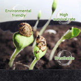 Felt Grow Bags – Breathable Fabric, Drainage & 4-26L with Handles