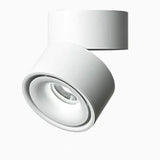 LED Ceiling Spotlight – Adjustable Swivel, 10W & Black or White Metal