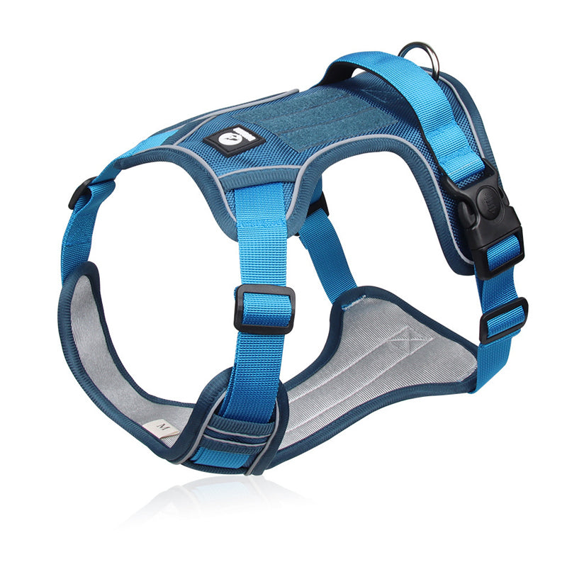 No-Pull Dog Harness Set – LED Collar, Padded Fit & Matching Leash